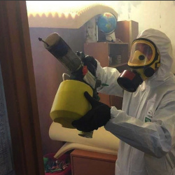 Уничтожение клопов в квартире. Пласт